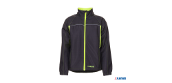 Basalt Neon