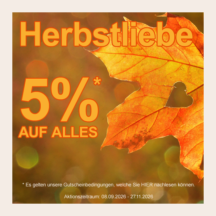 Aktionen und Gutscheine