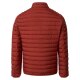 CASAMODA Herren Steppjacke SPORTSWEAR Zipper Orange