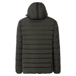CASAMODA Herren Steppjacke SPORTSWEAR Kapuze Grün