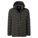CASAMODA Herren Steppjacke SPORTSWEAR Kapuze Grün