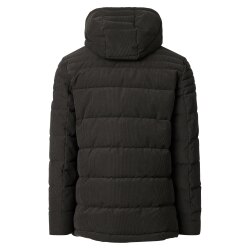 CASAMODA Herren Winterjacke SPORTSWEAR Kapuze Grün